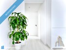 3 pokoje, 2 balkony, 2 miejsca postojowe – Różyny, ul. Makowa, 67 m² - 9
