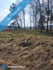 Duża  Działka budowlana z małym własnym parkiem - 6