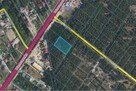 Działka leśna 3000m2, Michałów-Reginów. Sprzedaż. - 2