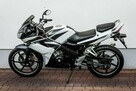 Honda CBR 125 2008 Raty Transport Największy Wybór Moto 125 MOTOSTAR - 5