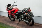 Honda CBR 125 2006 Raty Transport Największy Wybór Moto 125 MOTOSTAR - 4