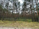 Działka pod zabudowę mieszkaniową leśny zakątek - 5