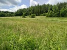 Atrakcyjna działka w gminie Solina - 1