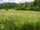 Atrakcyjna działka w gminie Solina - 3