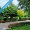 Na sprzedaż mieszkanie 3 pokojowe Orzeszkowej Zamość 48,3m2 niski blok - 9