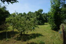 Działka budowlana z domemw Kostrzynie n. Odrą - 3