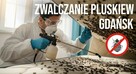 Zwalczanie pluskiew Gdańsk - Odpluskwianie, Dezynsekcja - 4