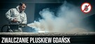 Zwalczanie pluskiew Gdańsk - Odpluskwianie, Dezynsekcja - 2