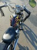 Kingway Chopper XT50Q „ŁOŚ” - 5