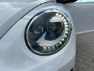 Volkswagen beetl - 12