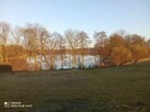 Działka 1.25 h z linią brzegową jeziora, plaża i winnicą - 11