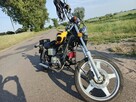 Kingway Chopper XT50Q „ŁOŚ” - 7