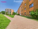 Komfortowe 2 pokoje - balkon, cisza, zieleń - 16