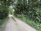 Pierwsza linia zabudowy nad Narwią - 4