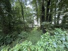Pierwsza linia zabudowy nad Narwią - 6