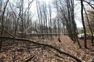 Działka budowlana Trojaczkowice gm. Niedrzwica Duża, Trojaczkowice Duże - 12