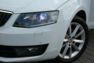 Škoda Octavia Skóry Navi Radar ACC Duża2xParktronici Bi-Xenon Ledy ASO SKODA - 5