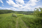 Działka na stoku, Mchawa, Bieszczady - 6
