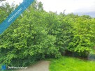 Spółdzielcze własnościowe | 42.4m2 | słoneczne | blisko lasu | bez pośrednika - 5