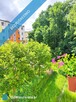 Spółdzielcze własnościowe | 42.4m2 | słoneczne | blisko lasu | bez pośrednika - 6