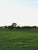 Działka 1,5 ha z widokiem na jezioro – MPZP 2RMU, media, Leś - 2