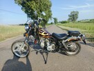 Kingway Chopper XT50Q „ŁOŚ” - 1