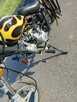 Kingway Chopper XT50Q „ŁOŚ” - 2