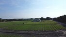 Działki Papowo Toruńskie ul. Sasankowa - 6