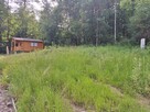 Domek letniskowy wśród drzew - 2
