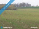 Sprzedam działka rolna w okolicach Lwówka Śląskiego - 3