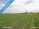 Sprzedam działka rolna w okolicach Lwówka Śląskiego - 6