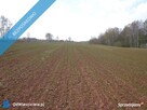 Sprzedam działka rolna w okolicach Lwówka Śląskiego - 7