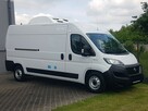 Fiat Ducato 3 KOMORY L3H2 CHŁODNIA IZOTERMA GRZANIE AGREGAT KLIMA TEMPOMAT - 1