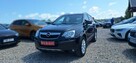 Opel Antara Duża Navi super stan zarejestrowany - 3