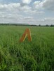 Działka budowlana Skawina, Tyniecka - 1