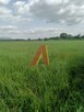 Działka budowlana Skawina, Tyniecka - 2