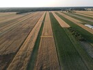 Działka Rusinów Wola Gałecka - 6