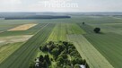 Spokojne i urokliwe siedlisko obok lasu - 3
