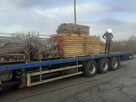 Szalunki na strom 100M2 - 2
