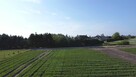 Działki Papowo Toruńskie ul. Sasankowa - 7