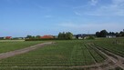 Działki Papowo Toruńskie ul. Sasankowa - 12