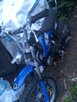 Cross sprawny 125 cm - 2