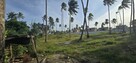 Zanzibar - 11