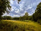 Działka rolna Wiry gm. Marcinowice - 7