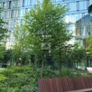 Lokal użytkowy Warszawa Żoliborz, Słomińskiego - 8
