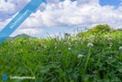 Działka idealna na mini ranczo lub edukację przyrodniczą z ogrodem sensorycznym – Regnów, 85 km od W - 1