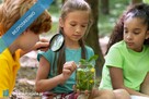 Działka idealna na mini ranczo lub edukację przyrodniczą z ogrodem sensorycznym – Regnów, 85 km od W - 2