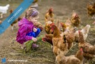 Działka idealna na mini ranczo lub edukację przyrodniczą z ogrodem sensorycznym – Regnów, 85 km od W - 7