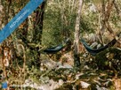 Działka pod glamping / agroturystykę – 85 km od Warszawy! Ziemia, która oddycha spokojem. - 10