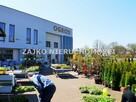 Lokal użytkowy Suwałki, Pułaskiego - 14